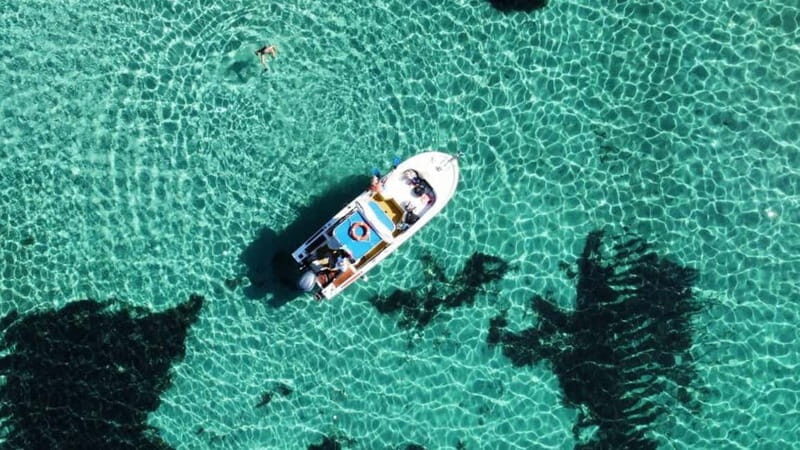 From Stintino: boat trip to Asinara - Who Will Love This Tour?