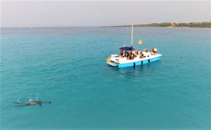 From Stintino: catamaran trip in the Gulf of Asinara - Frequently Asked Questions