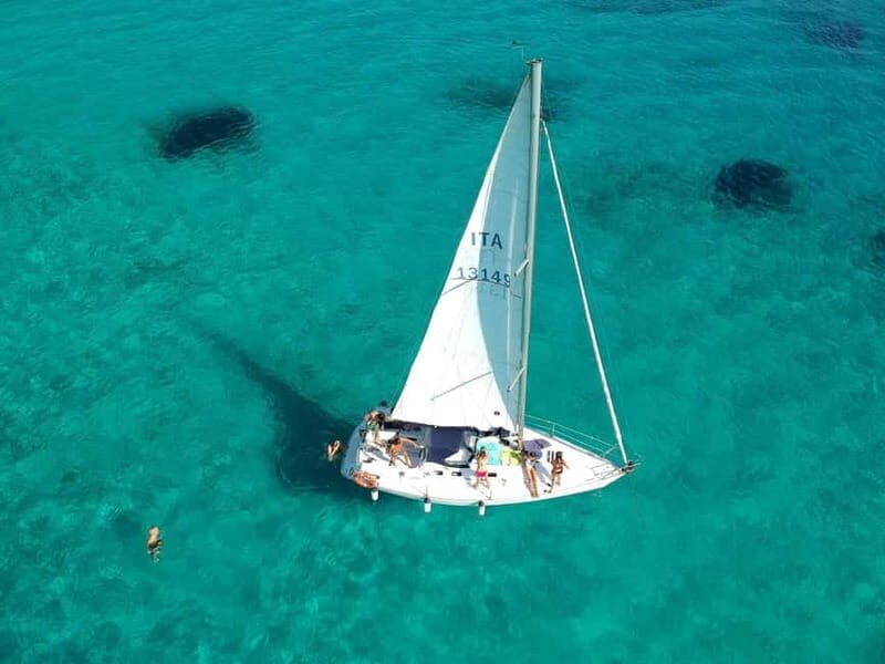 From Stintino: Half-Day Sailing Boat Tour to Asinara - The Real Experience — What Travelers Say