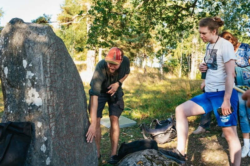 From Stockholm: Moose & Wildlife Safari with Campfire Dinner - The Experience – A Deep Dive