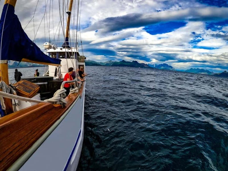 From Svolvær: Taste of Lofoten - Cultural Fishing Experience - Explore a Unique Side of Lofoten