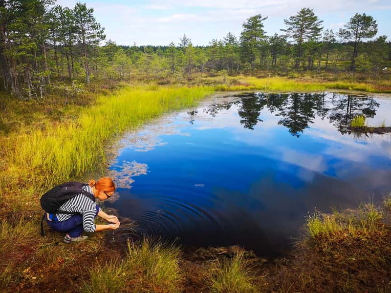 From Tallinn: Day Trip to Lahemaa National Park - Transportation and Group Dynamics