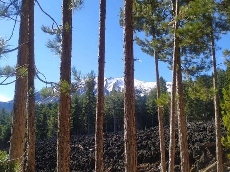 From Taormina: Etna Walking Tour and Wine Tasting in Winery - Discovering Mount Etna: The Core Experience