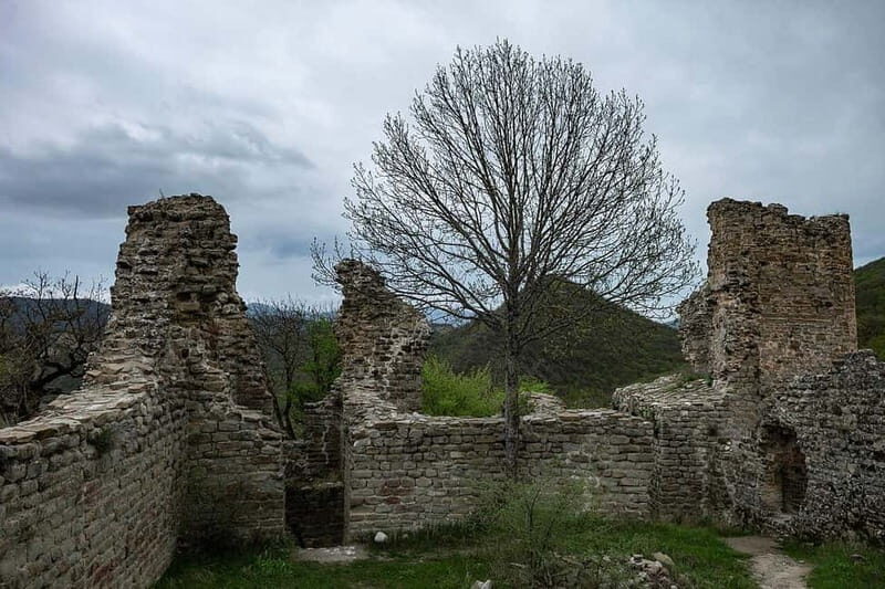 From Tbilisi: Bodbe, Sighnaghi and Telavi Day Trip - A Deep Dive into the Itinerary