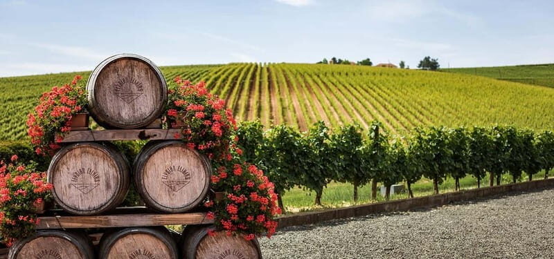 From Tbilisi: Kakheti Day Trip with Wine Tasting & Lunch - Real Traveler Insights