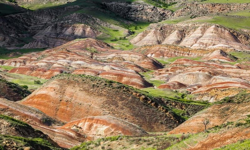 From Tbilisi: Rainbow Mountain & David Gareja Monastery Trip - The Value of the Experience: What You’re Paying For