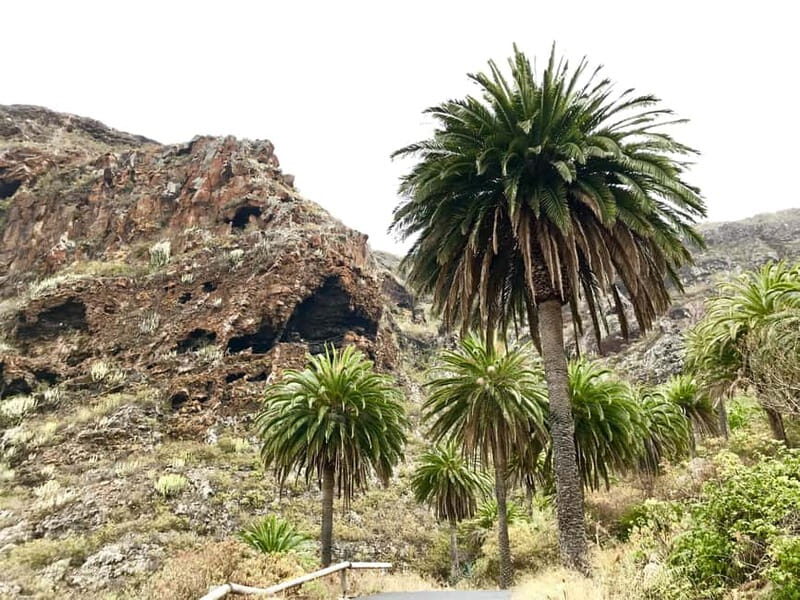 From Tenerife South: La Gomera Full-Day Trip with Transfers - How the Tour Delivers Value