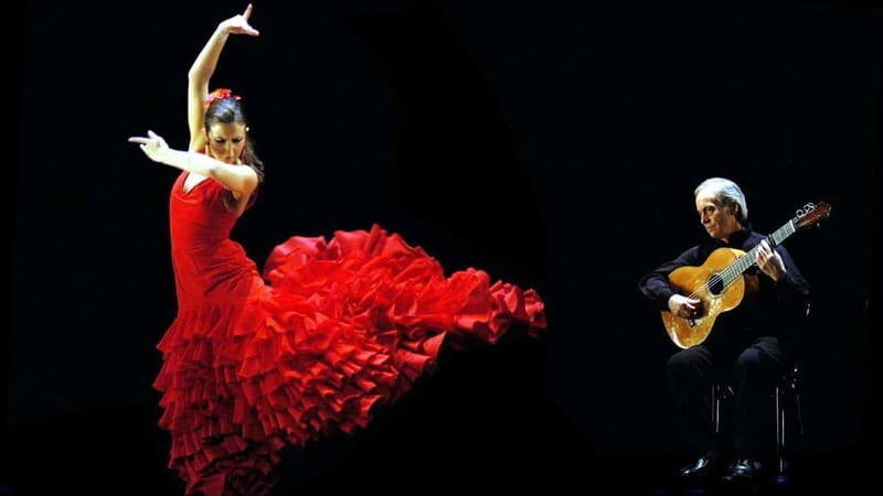 From the Costa del Sol: Excursion to Malaga with wine and flamenco tasting. - Who Will Love This Tour?