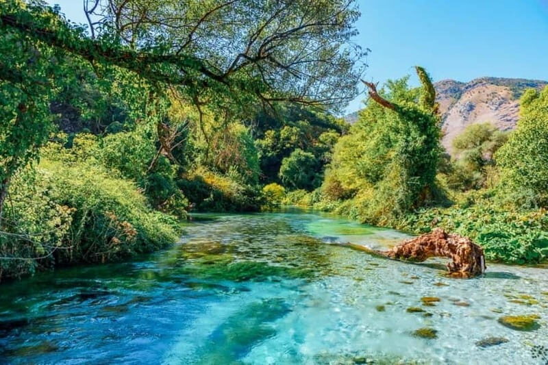 From Tirana, 5 Day Tour: Pearls of South Albania, Riviera - Practical Considerations and Value