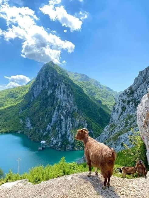From Tirana: Bovilla Lake and Gamti Mountain Tour - Exploring the Itinerary in Detail