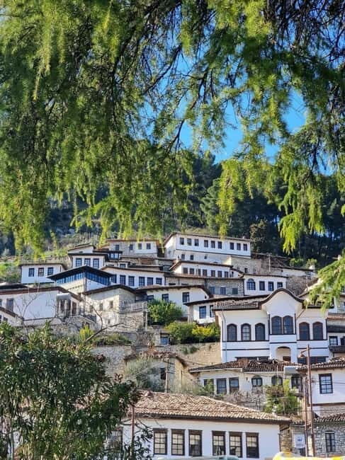 From Tirana/Durrës/Golem: Berat Day Trip + Wine Tasting - Who Will Love This Tour?