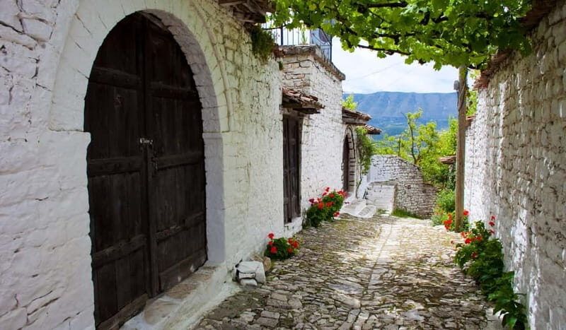 From Tirana & Durres: Group Tour of Apollonia Berat & Durres - What We Loved About This Tour