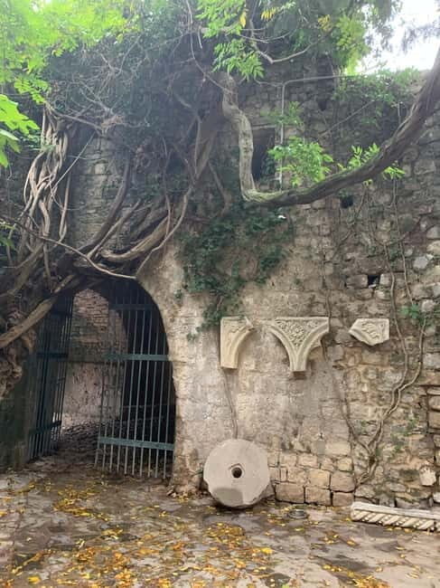 From Tirana: Shkodra and Ulcinj, Montenegro Day Tour - The Nuts and Bolts