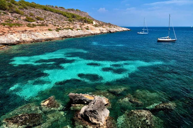 From Trapani: Egadi Islands Tour by RIB to Favignana and Levanzo with Lunch - Who Should Consider This Tour?