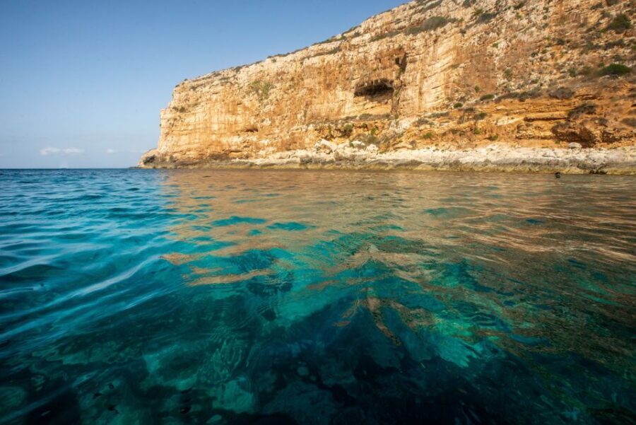 From Trapani: Marettimo Grottos Cruise & Local Food Tastings - Who Is This Tour Best Suited For?  