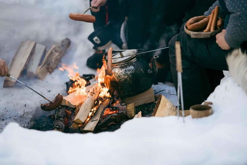 From Tromsø: Daytime Snowshoeing and Snow Park Visit - The Itinerary: From Tromsø to the Arctic Wilderness