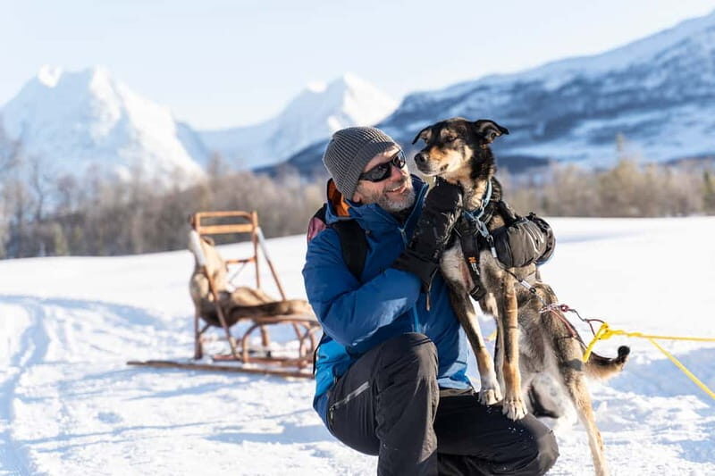 From Tromsø: Husky Experience with Self-Drive Dog Sled Ride - What Makes This Tour Stand Out?