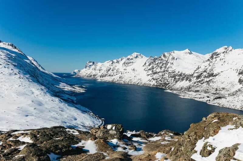 From Tromsø: Snowshoeing Hike with Picnic Lunch and Photos - The Full Experience: What to Expect from Start to Finish