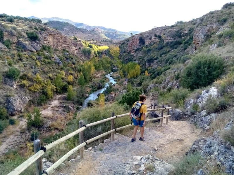 From Valencia: Peña Cortada Aqueduct Hiking Day Tour - The Experience You’ll Gain