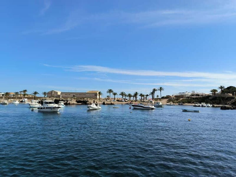 From Valencia: Tabarca Island - What’s Included and What’s Not