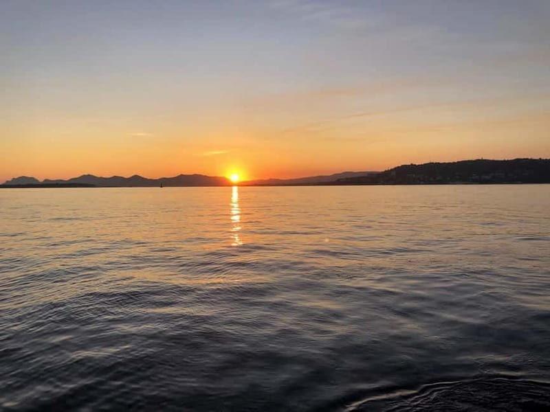 From Villefranche-Sur-Mer: Night Show Cruise - Who Will Love This Tour?