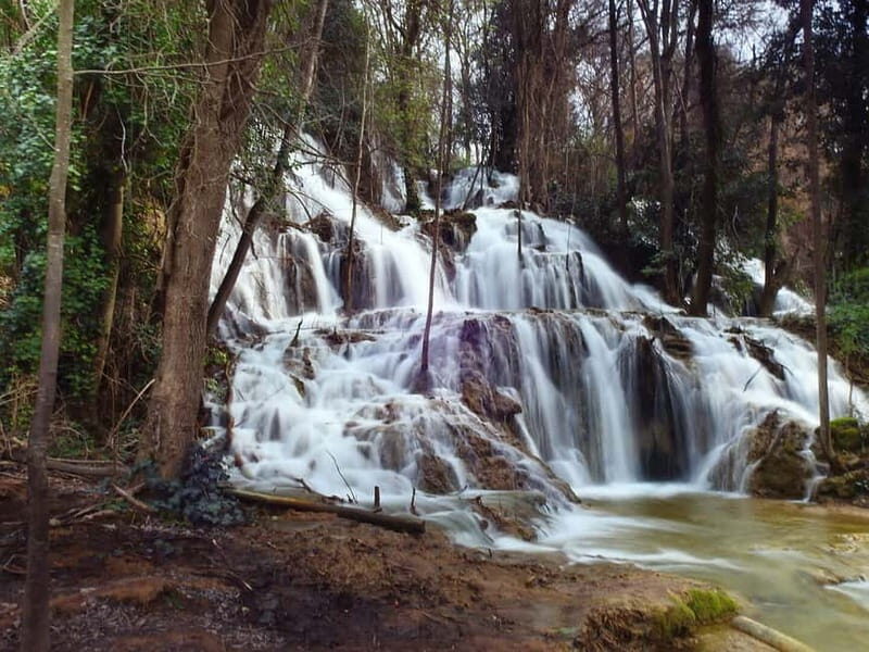 From Zadar: Krka National Park Full-Day Tour from Zadar - How the Day Unfolds