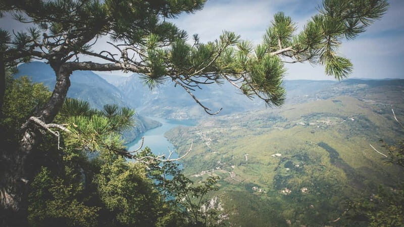 From Zlatibor/Uice: Tara National Park - Private Tour - Exploring the Scenic Route to Tara National Park