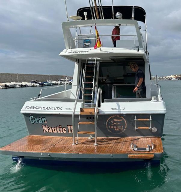 Fuengirola: Dolphin Spotting Tour - What the Trip Means for You
