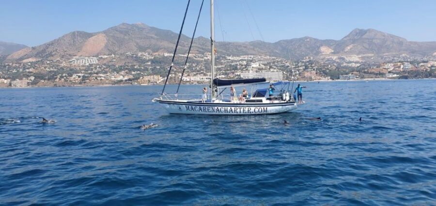 Fuengirola: Dolphin-Watching Sailing Tour with Drinks - What to Expect During the Tour