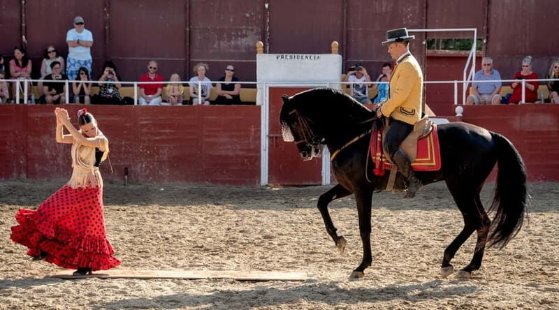 Fuengirola: Spanish Horse Show with Optional Dinner/Flamenco - Final Thoughts: Who Will Appreciate This Tour?