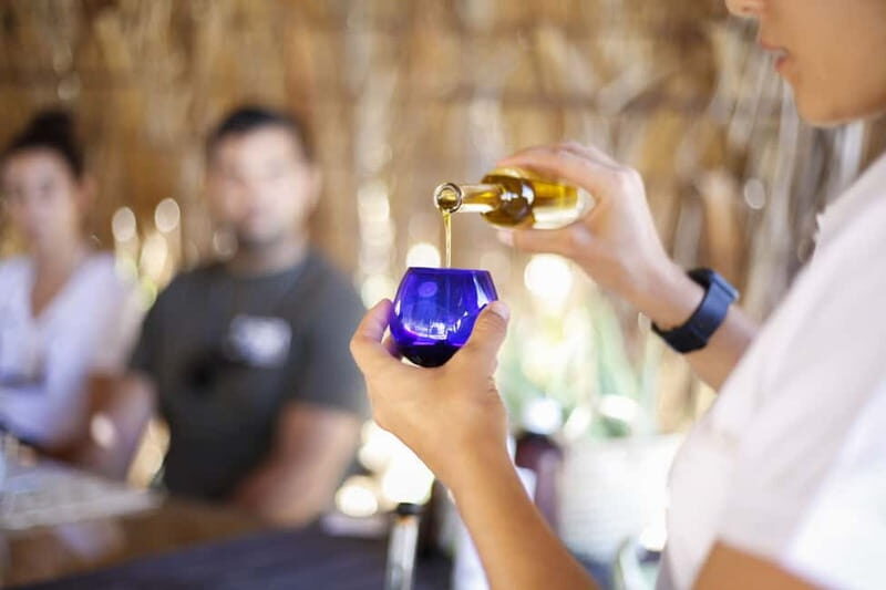 Fuerteventura Aloe & Olivo Tour with Optional Lunch - The Aloe Vera Experience: More Than Just a Plant