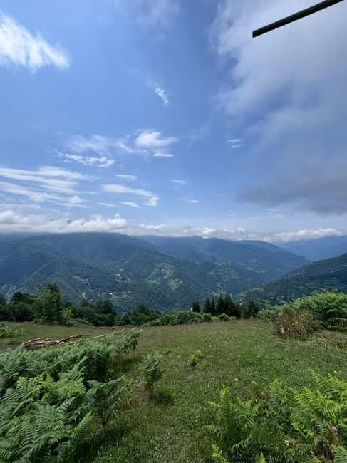 Full Day Snow Tours from Batumi - Why This Tour Is a Great Fit