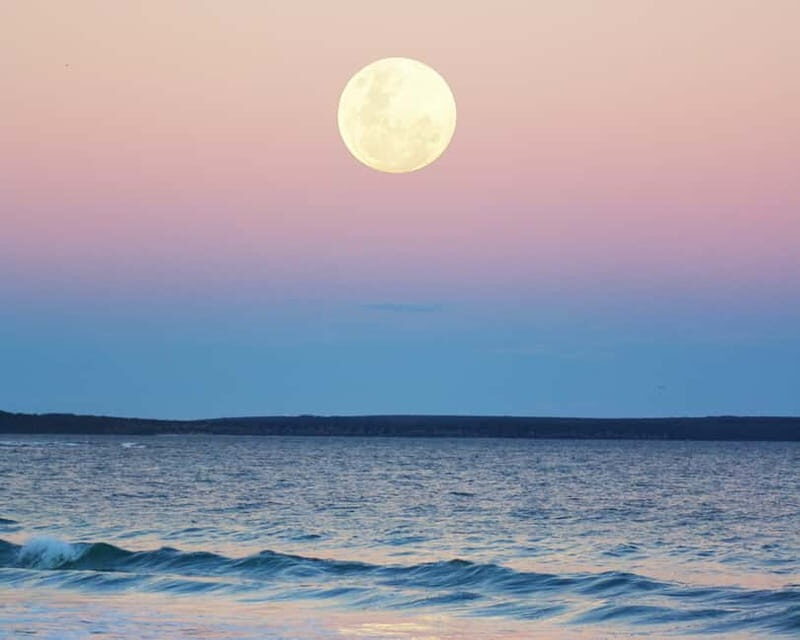 Full Moon Magic  2h Night Sailing in Sotogrande - What’s Included and What to Expect