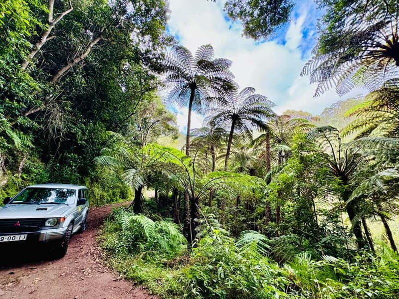 Funchal: 4x4 Jeep Trip to the East and Northeast of Madeira - What Makes This Tour Stand Out?