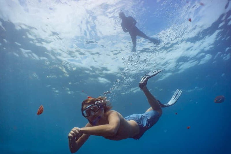 Funchal: Snorkeling Adventure in Eco-Park / Shore or by Boat - The Marine Environment: Why It’s Special