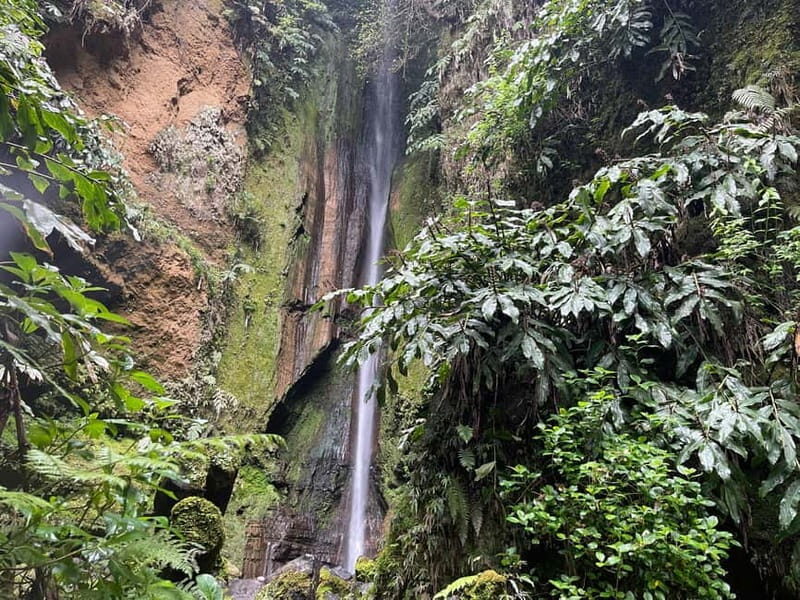 Furnas: Private Tour with Hike & Terra Nostra Hot Springs - The Geothermal Marvels and the Culinary Experience