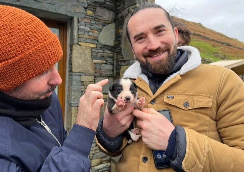 Galway: Connemara, Sheepdog Show and Medieval Castle Tour - Transportation, Value, and Overall Experience