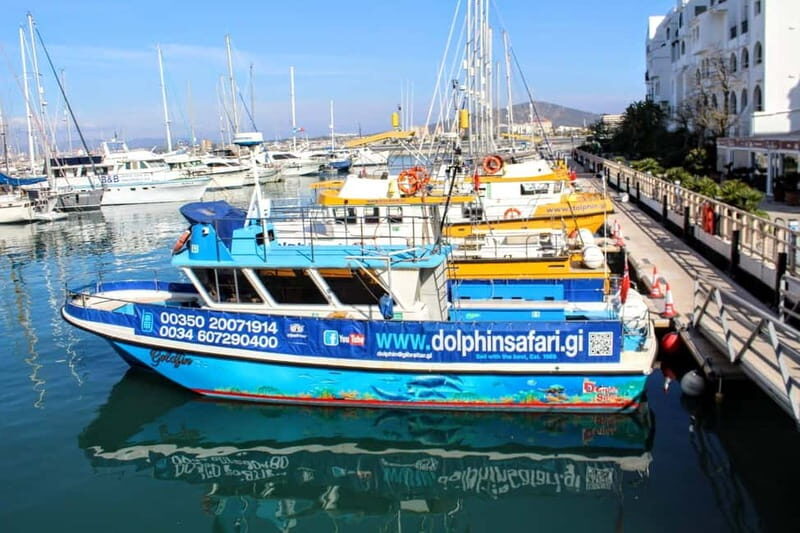 Gibraltar: Dolphin Watching Boat Tour V.I.P - Practical Tips for Booking and Enjoying the Tour
