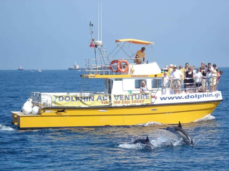 Gibraltar: Dolphin Watching Tour - An In-Depth Look at the Gibraltar Dolphin Watching Experience