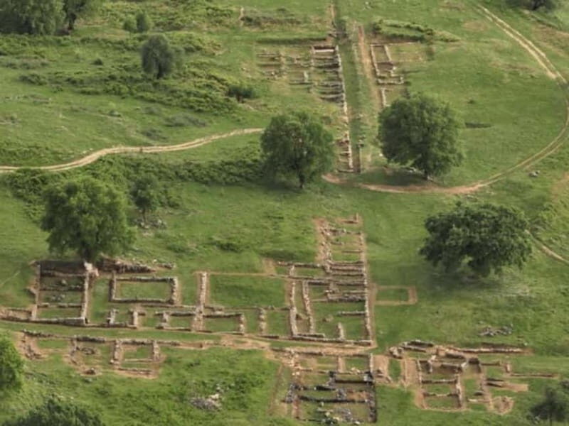 Gjirokastër: Antigonea Archaeological Park & Farm Meal - The Farm-to-Table Meal Experience