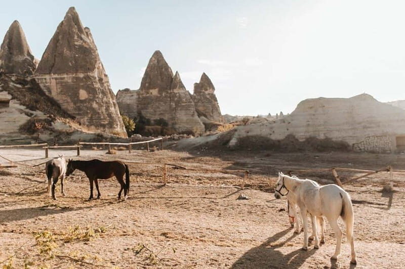 Göreme: Private Camel Tour, Pottery, Horse Ride w/Lunch - What to Expect: A Day in Cappadocia