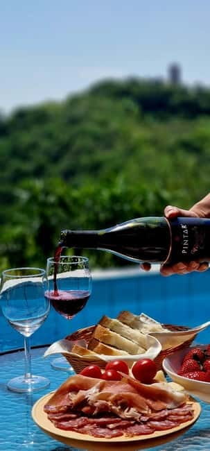 Gorika Brda: Wine Tasting with Local Snacks - Authentic Reviews Give a Clear Picture