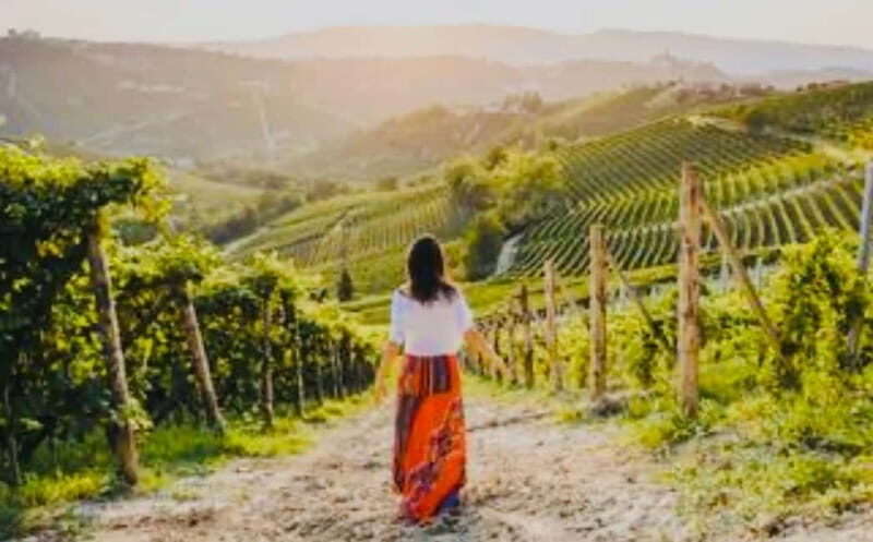Gourmet & Wine: The Heart of Tuscany in a Day - The Charm of San Gimignano