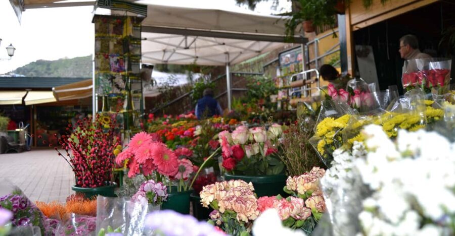 Gran Canaria: 3 Traditional Markets in One day - Detailed Breakdown of the Itinerary