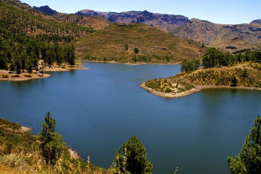 Gran Canaria Highlights Full-Day Tour by Bus - The Town of Teror: A Cultural Gem