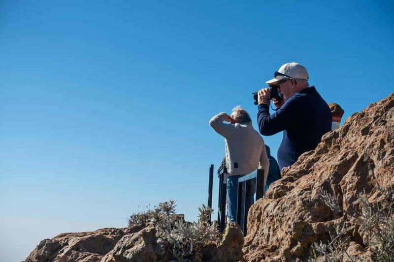 Gran Canaria: Island Highlights Tour with Optional Lunch - Transport and Comfort