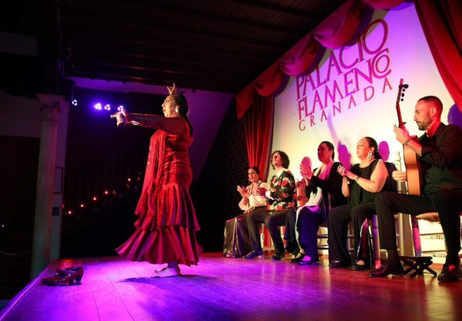Granada: 1-Hour Traditional Flamenco Show at Palacio - The Performers and Their Artistry