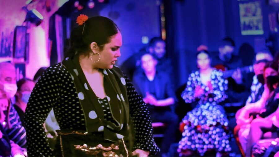 Granada: Flamenco Show at Cueva de la Rocío - Authenticity and Audience Feedback