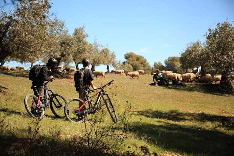 Granada: Nature, Wildlife and Authentic Villages E-bike Tour - An In-Depth Look at the Granada E-bike Tour