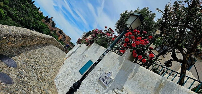 Granada: "Street Art & The Caves" Unique Guided Walking Tour - The Value of the Tour